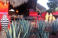 Mexico 371